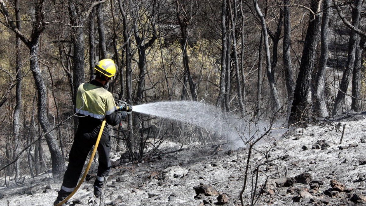 Detalle de un bombero rociando una zona quemada del incendio de la Pobla de Montornès. 6 de agosto de 2016