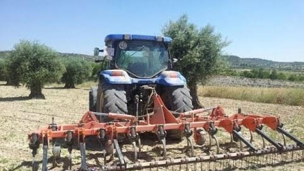 El hombre se habría caído del cultivador con el que estaba trabajando las tierras.