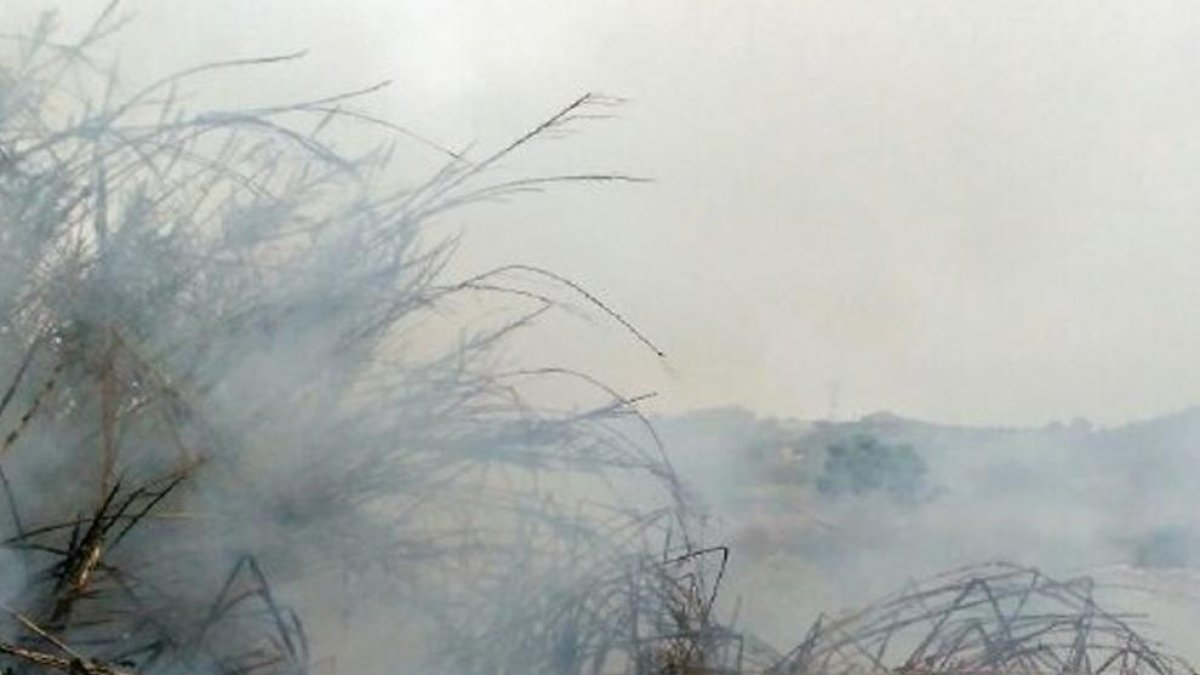 Imatge d'un bomber duent a terme les tasques d'extinció en l'incendi de Vilabella.