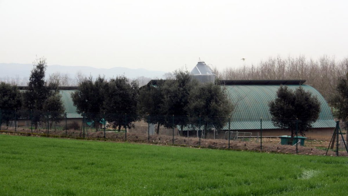 Una imagen exterior de una granja de Sant Gregori donde se han hecho comprobaciones por el foco de gripe aviar.