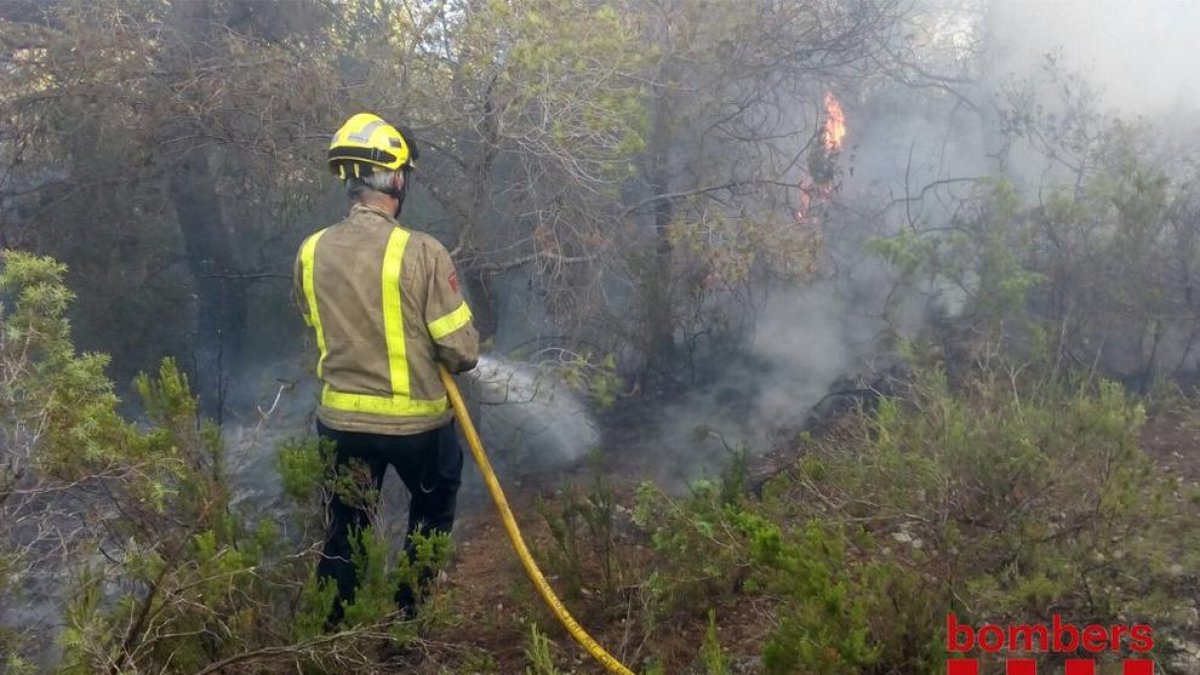 Imatge d'arxiu d'una intervenció dles bombers en una zona de bosc.