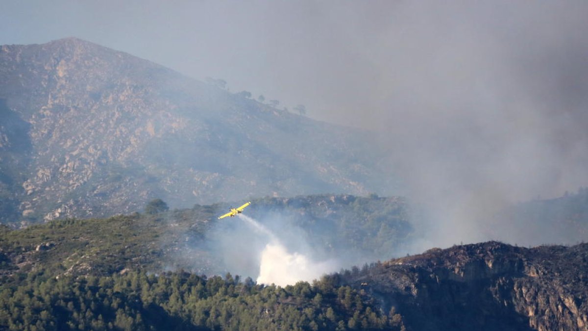 Pla general de la zona afectada per l'incendi a la serra de Cardó-Boix. Imatge del 27 de juliol de 2017
