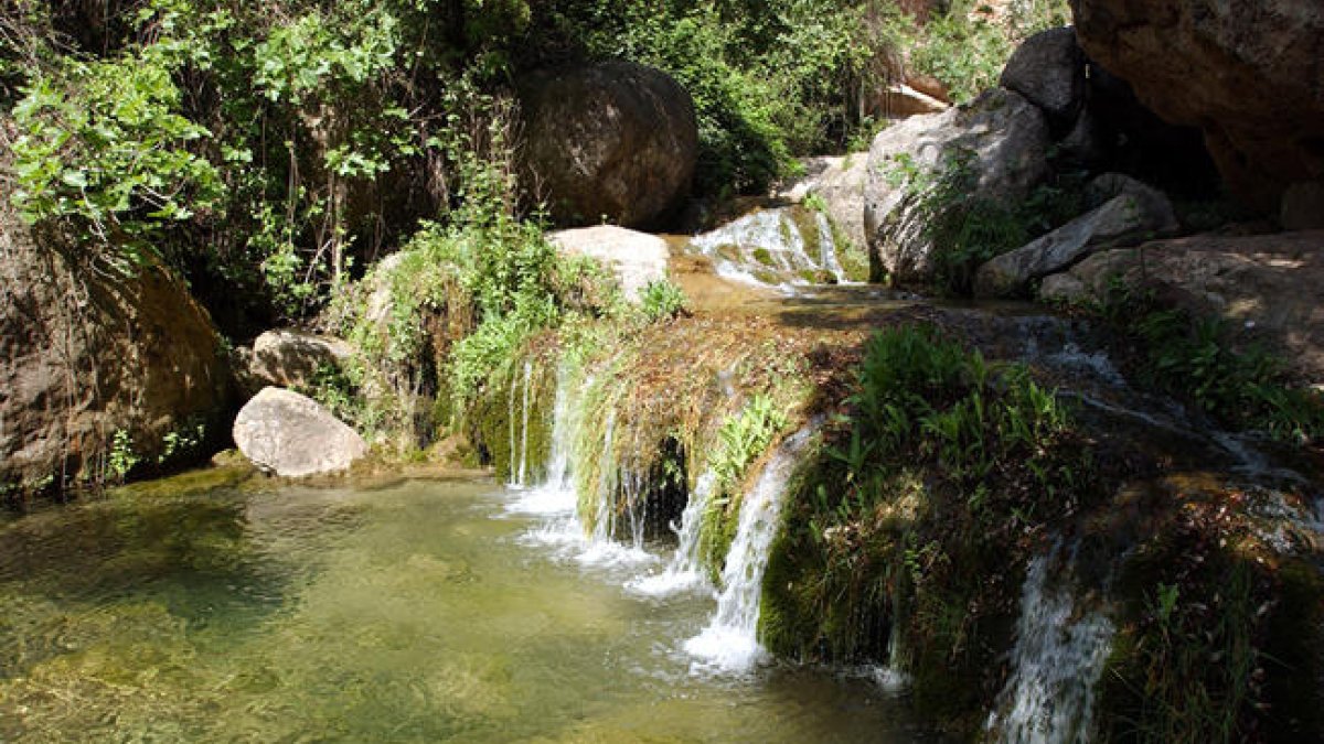 El río acaba pleno de latas y basura que dejan los visitantes incívicos.