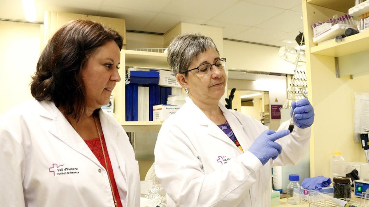 La cap del grup de recerca de Pneumologia, la doctora Maria Jesús Cruz (esquerra), i la doctora María Dolors Untoria, observen una proveta amb partícules de l'aire de Barcelona al seu laboratori del VHIR.