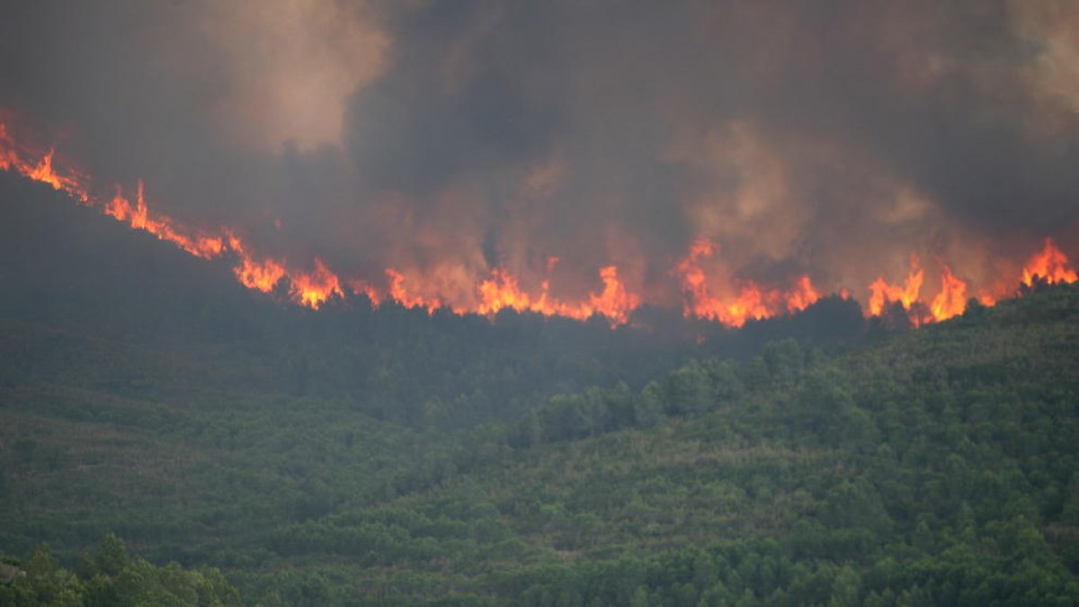 Imatge d'arxiu de l'incendi que va cremar part del terme de Tivissa el 2014.