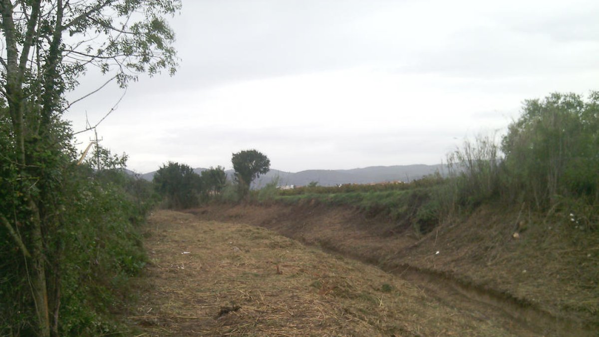 Tramo del torrente de Llorenç donde se hacen los trabajos.