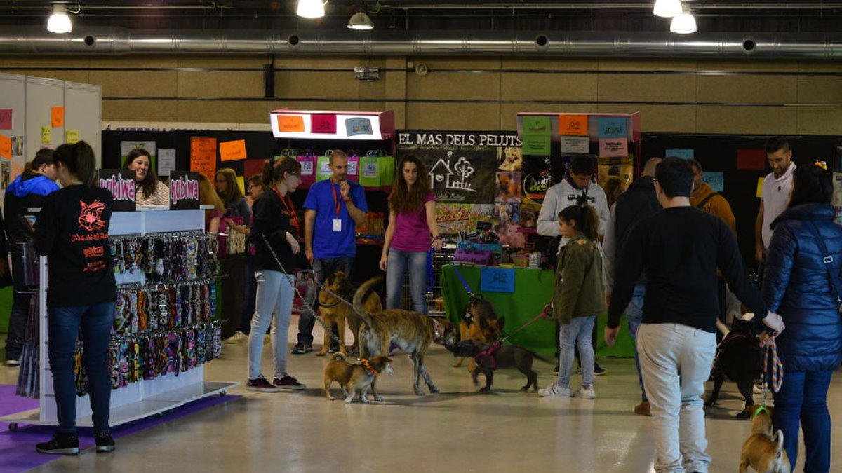 Los animales son los protagonistas de la feria Bestial.