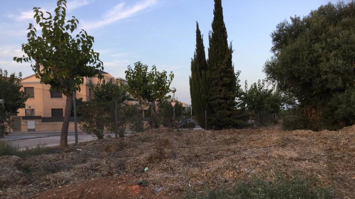 El grup polític denuncia brutícia i restes de poda d'arbustos urbans a