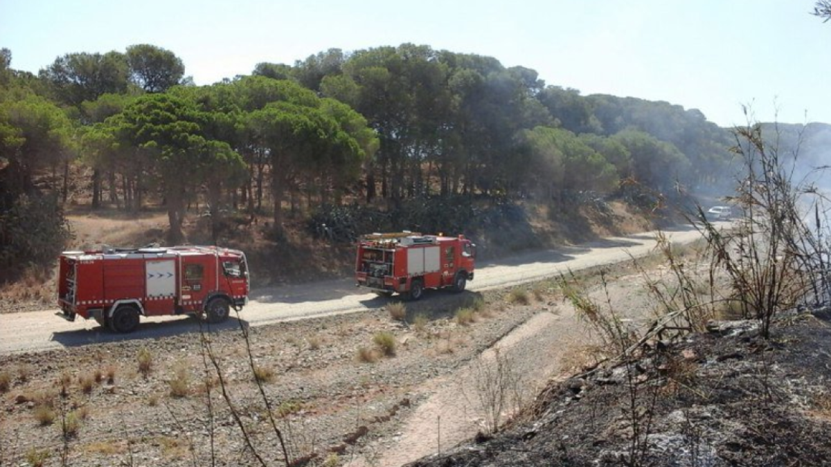 Les dotacions que han treballat en l'extinció de l'incendi de Cambrils.