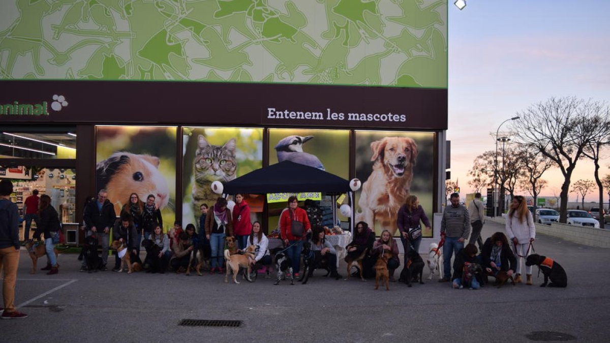 El acontecimiento ha acogido una veintena de perros.