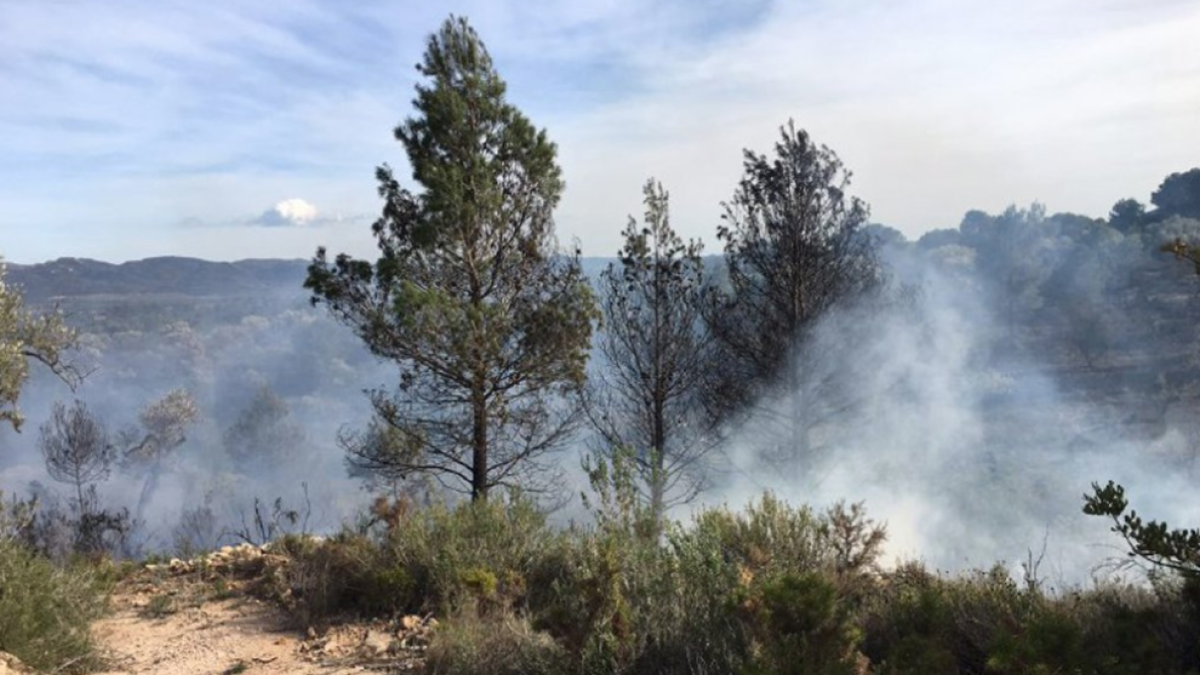L'incendi de Rasquera ha cremat 2.250 metres quadrats de vegetació agrícola.