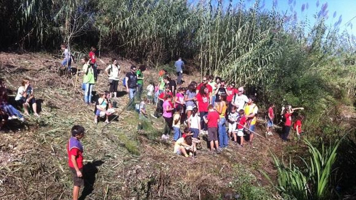 El proyecto 'la tortuga de rierol vive en el Gaià' celebra 10 años