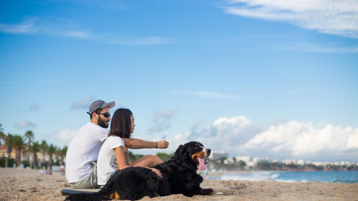 Els propietaris d'animals domèstics ja podran gaudir de la platja acompanyats amb les seves mascotes en època turística.