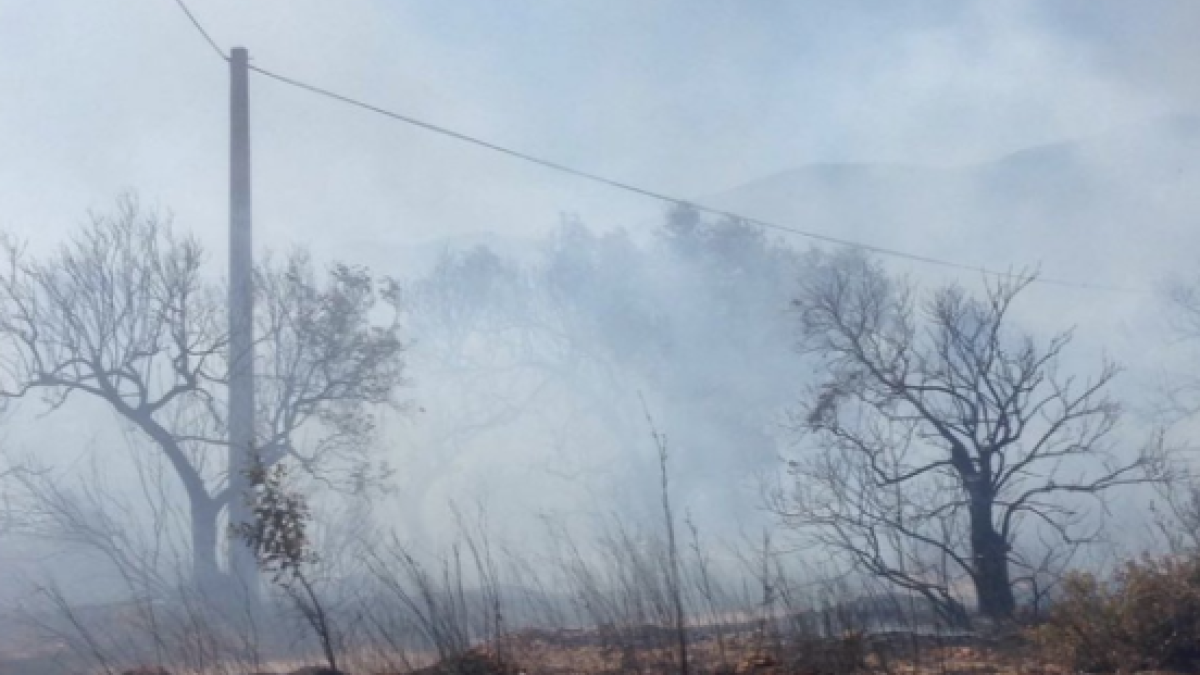 El incendio se ha iniciado en torno a las 15 horas de este martes.