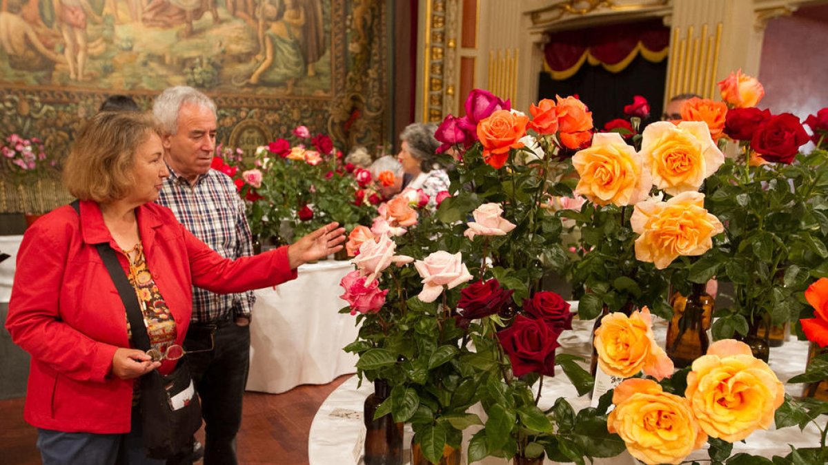 Dos visitants del 70è certamen de roses al Teatre Bartrina, ahir al matí.
