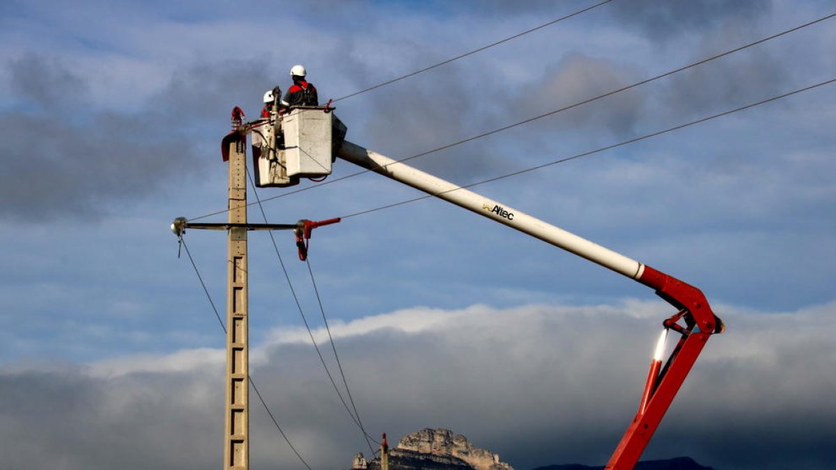 Operaris d'Endesa instal·lant les produccions en un suport de la línia pròxima a l'abocador de Mas de Barberans.