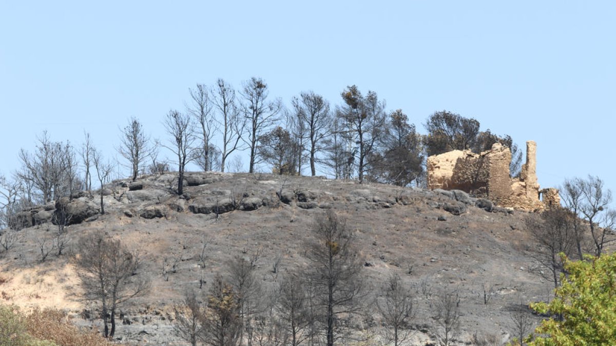 Un edifici abandonat amb els efectes de l'incendi de la Ribera d'Ebre al fons entre la Palma i Vinebre