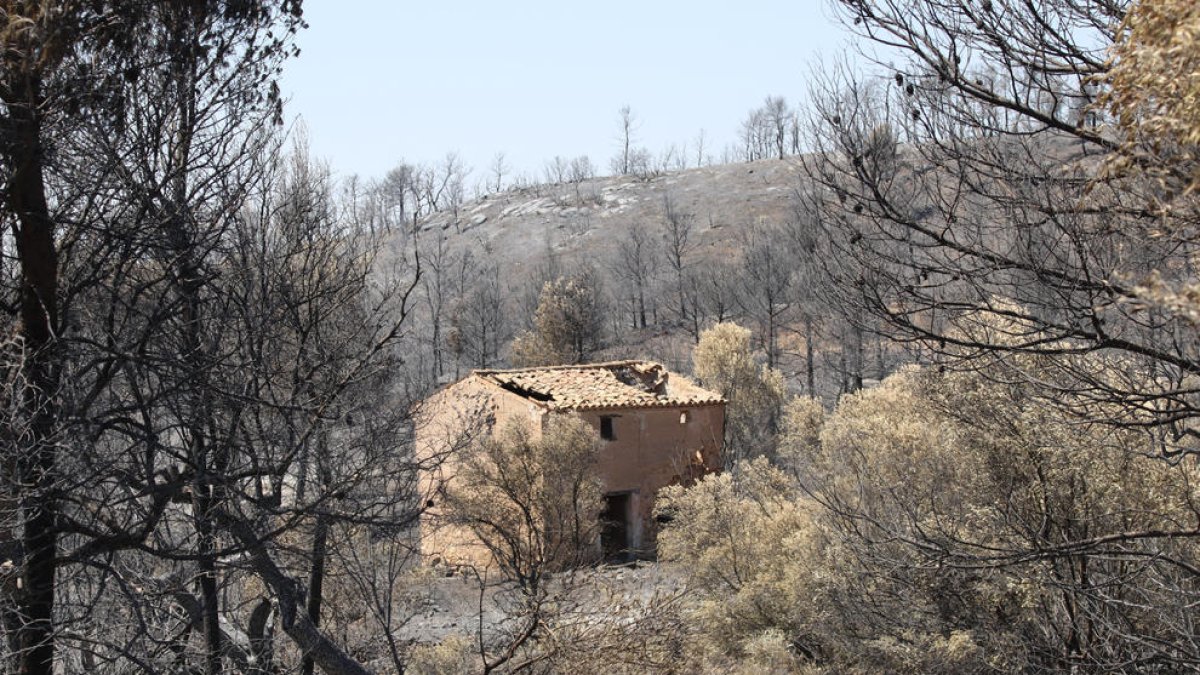 Un edificio abandonado con los efectos del incendio de la Ribera de Ebro al fondo entre la Palma y Vinebre