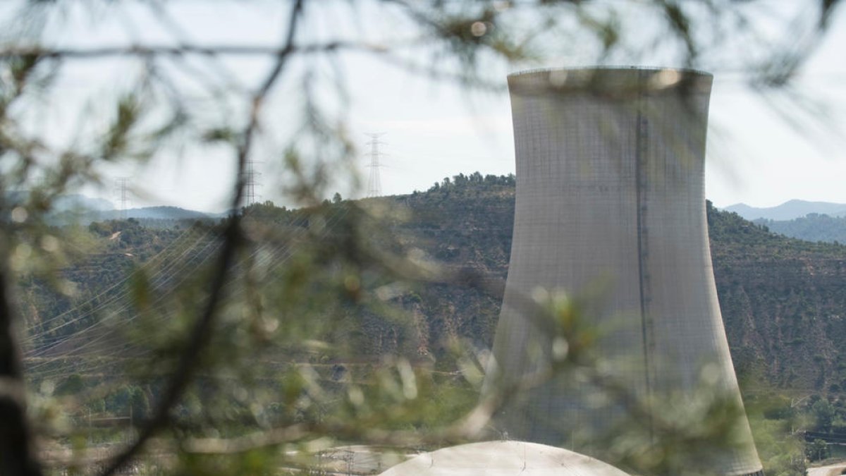 Pla general de la xemeneia i les instal·lacions de la nuclear d'Ascó.