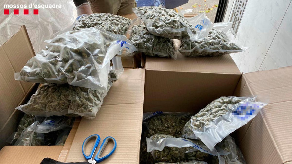 La droga tendría un valor de unos 420.000 euros en el mercado.