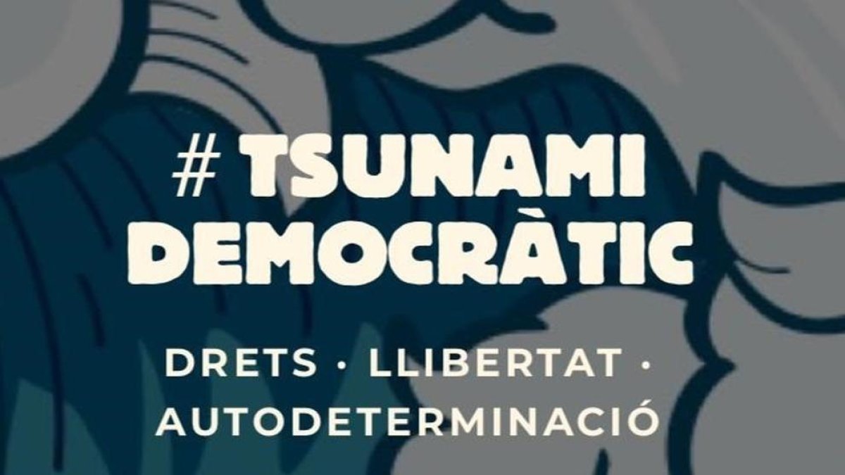 Imatge extreta de la web de Tsunami Democràtic.