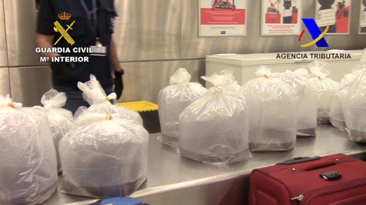 Imagen de archivo de unas bolsas|bolsos con angulas vivas que va inerceptar la Guardia Civil.