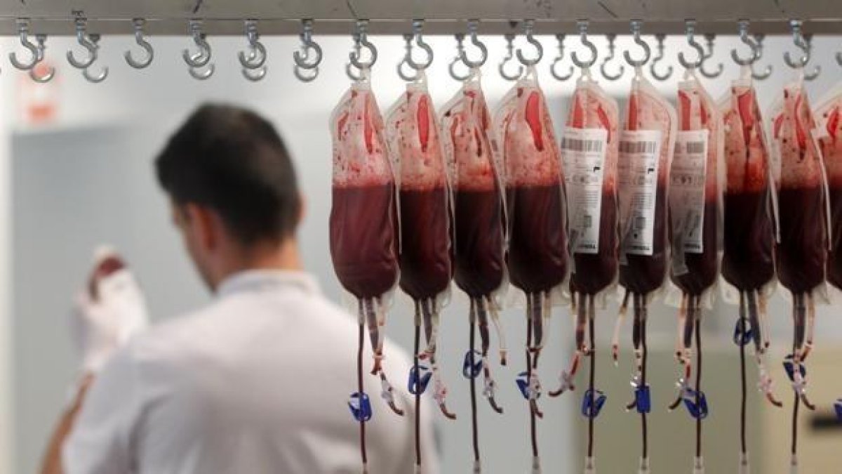 Imatge de bosses de sang donada.