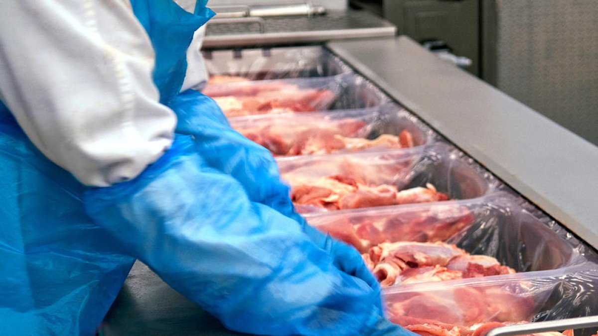 Detalle de un trabajador procesando carne en el interior de las instalaciones de Càrniques Celrà