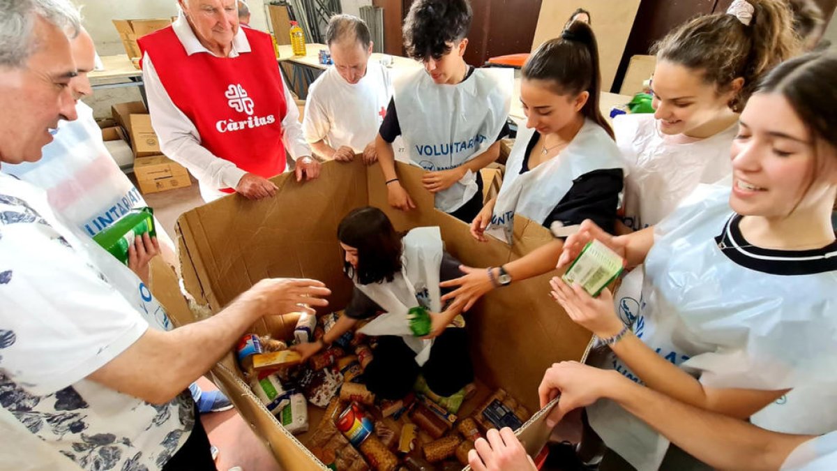 Més de 500 voluntaris han participat a la novena edició de la recollida d'aliments a Tortosa.