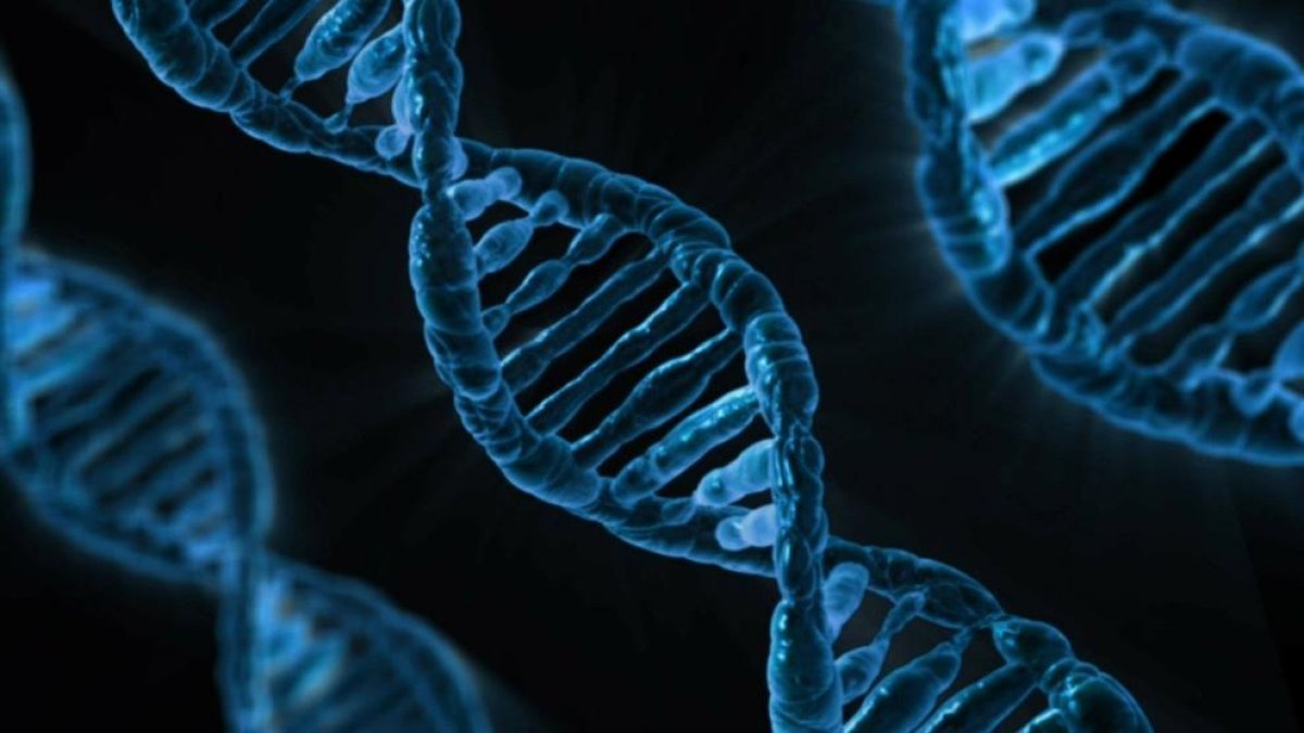 Las mutaciones de determinados nada en el ADN humano provoca infertilidad.