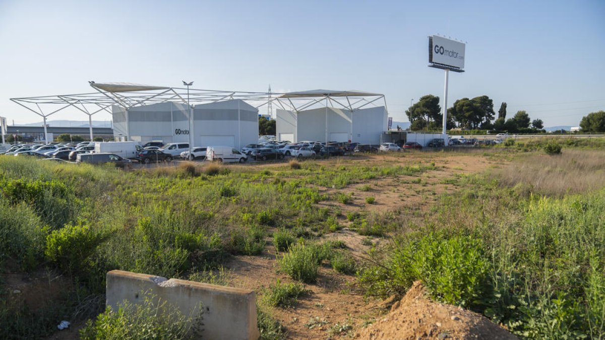 Parcel·la de REDESSA, ubicada al CIM el Camp, en la qual es duran a terme les prospeccions arqueològiques.