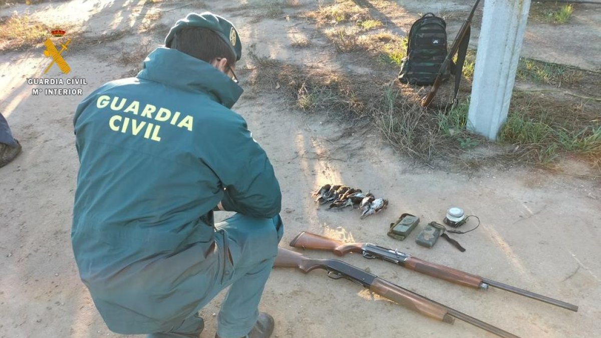 Los cazadores pretendían atraer de forma artificial y masiva a las aves para ser abatidas desde lugares fijos.