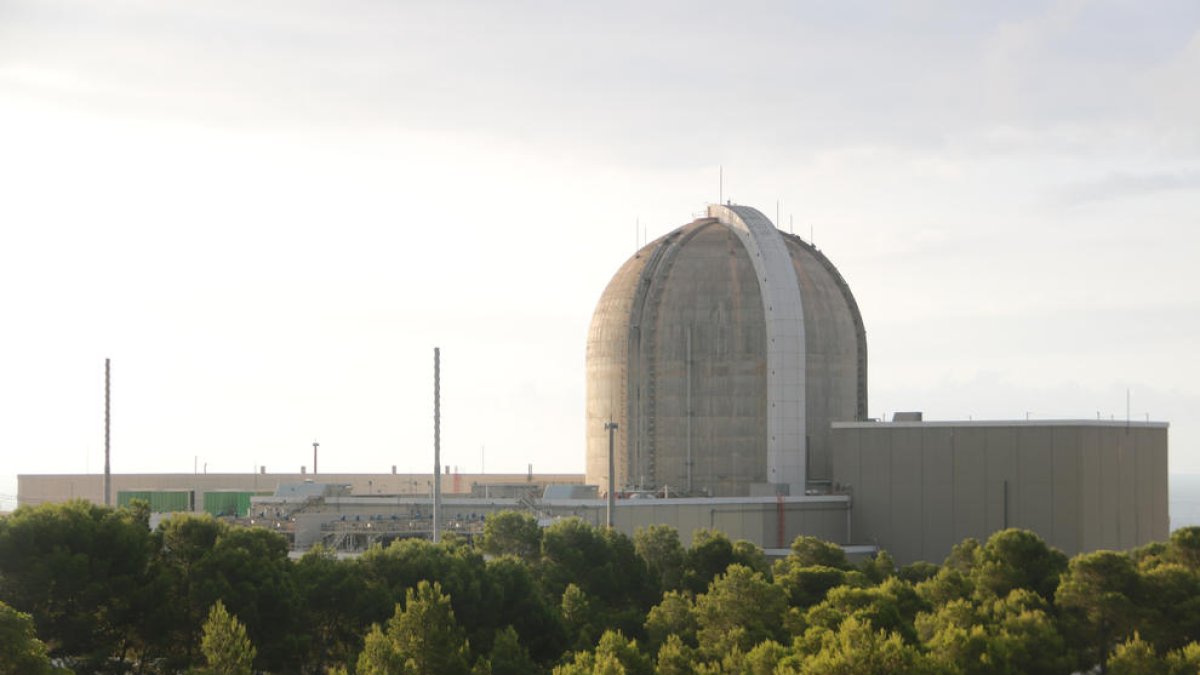 Imatge de les instal·lacions de la central nuclear de Vandellòs.