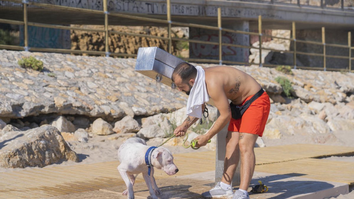 L'any passat es va instal·lar un espai per a gossos a la platja del Miracle de Tarragona.