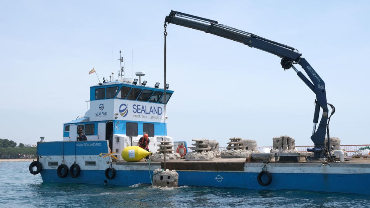 Imatge de la instal·lació dels primers biòtops al mar per protegir la reserva marina de Cambrils.