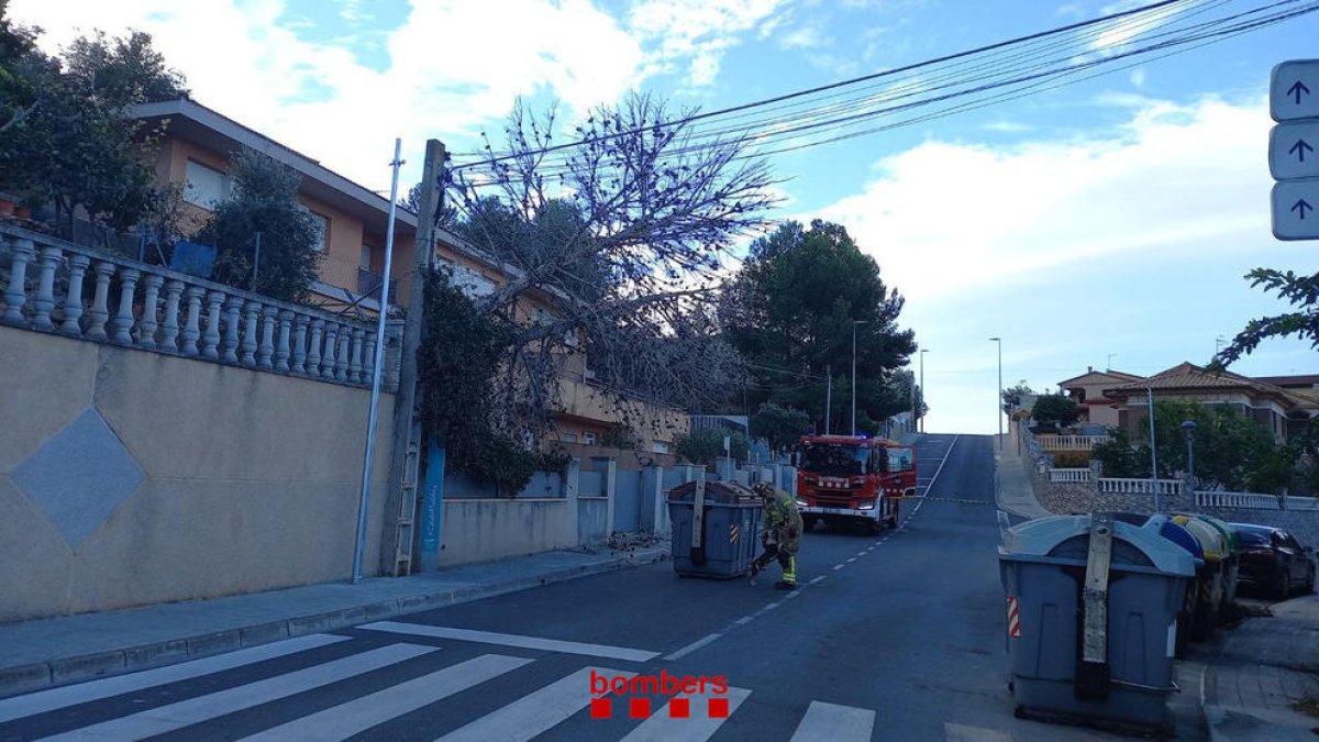 Els Bombers retiren un arbre a l'avinguda Marca Hispànica de Calafell.