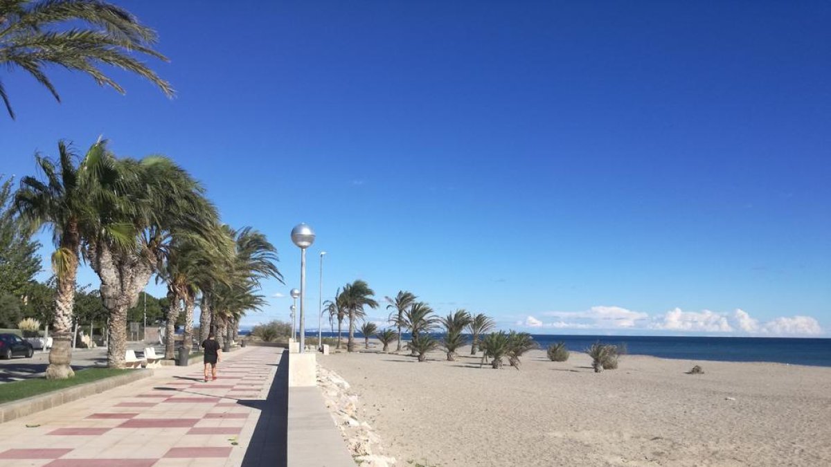 La platja de la Punta del Riu obté la bandera Ecoplayas pel tractament de les algues marines