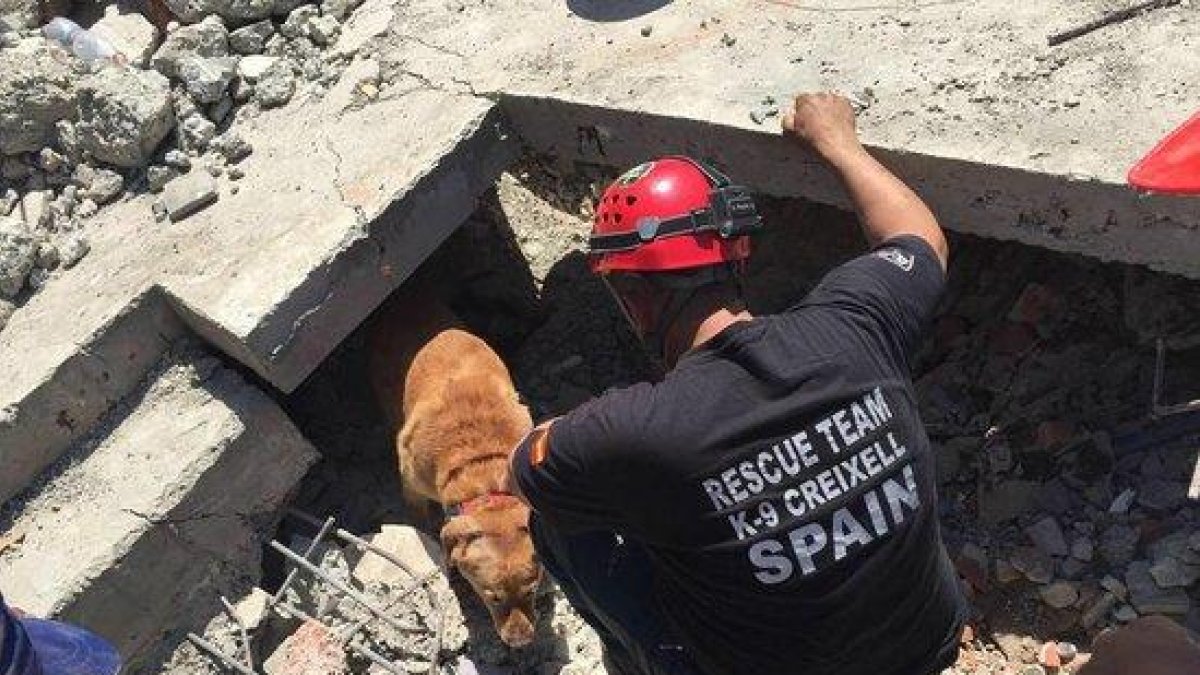 Imagen de la unidad de rescate canino K-9 de Creixell actuando en el Ecuador en un edificio hundido por el terremoto que sacudió el país el 17 de abril de 2016