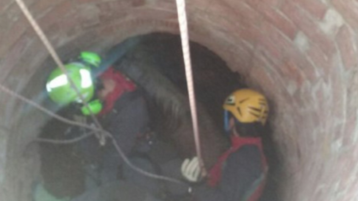 Els Bombers rescatant l'animal a l'interior del pou.