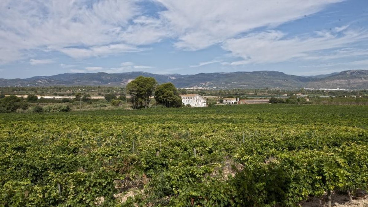 Una desena de cellers tarragonins presenten els seus productes a Colorado