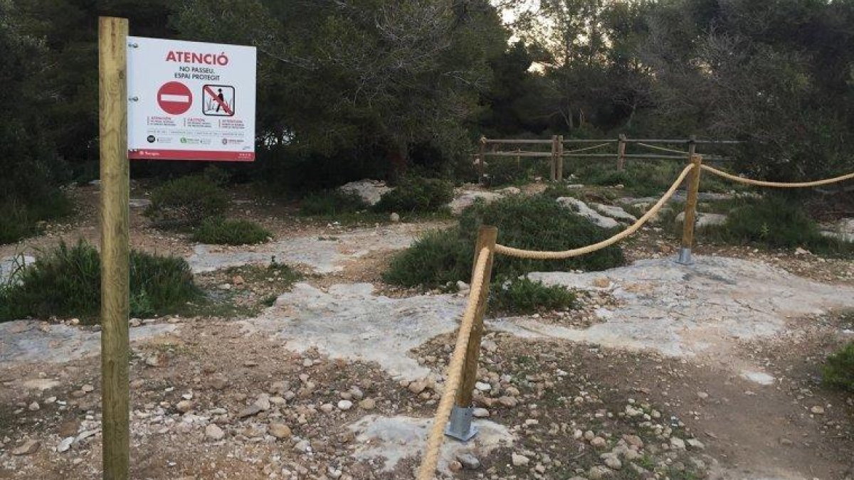 La savinosa és un dels espais de Tarragona on es practica el 'cruising'.