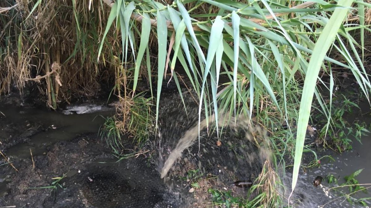 El col·lector vessa aigües residuals durant més d'un dia a la llera del riu Gaià