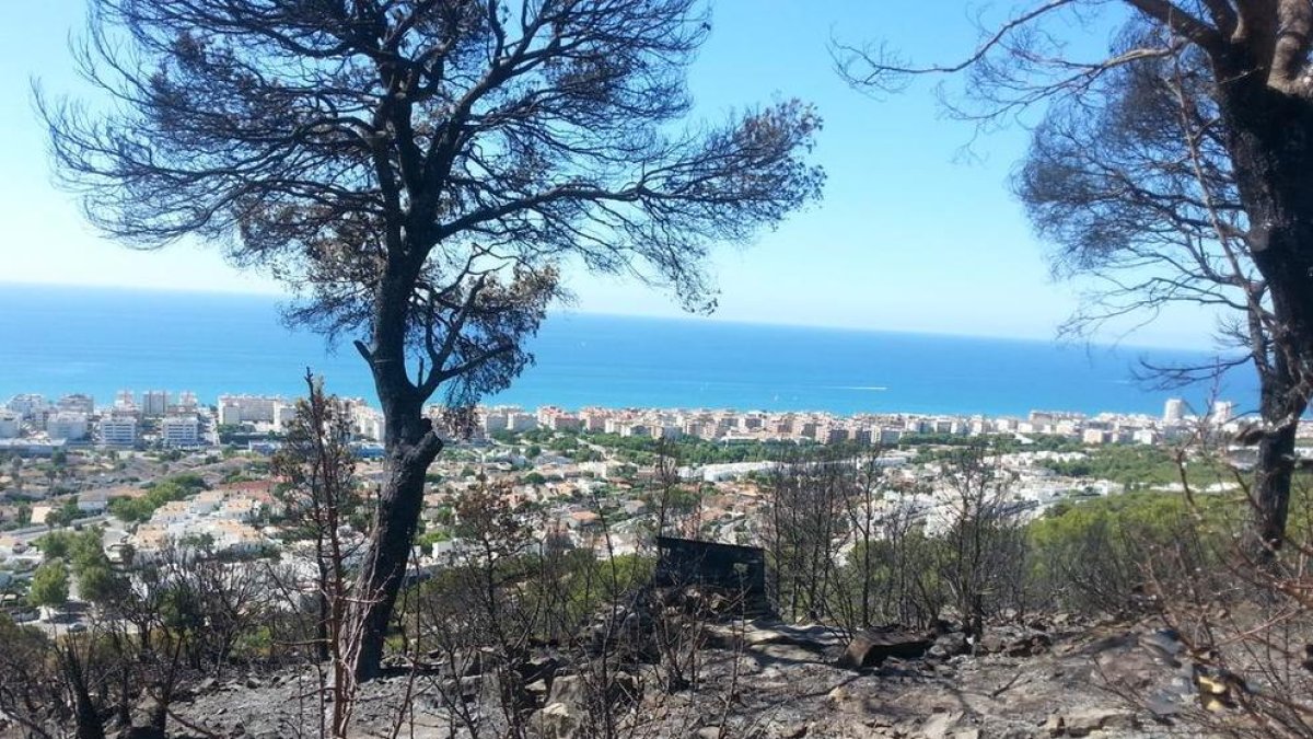 L'incendi de Calafell hauria cremat la Torre de la Talaia