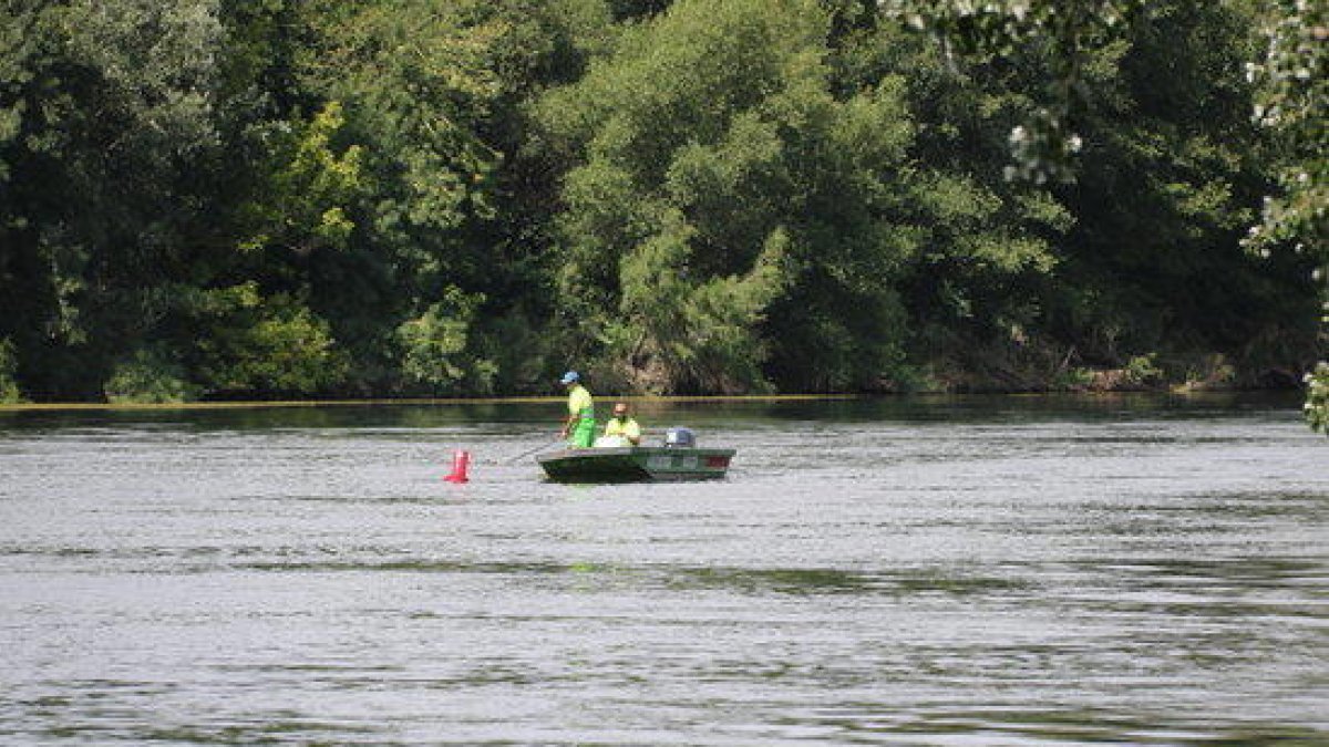 Dos operarios de mantenimiento del servicio para la navegabilidad del Ebro trabajando cerca de la zona del río donde se ha detectado caracol manzana, en Miravet.