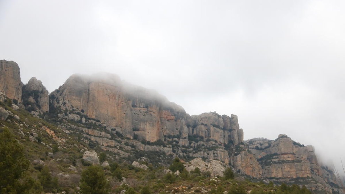 El Montsant en los pies de la Morera de Montsant, en el Priorat.