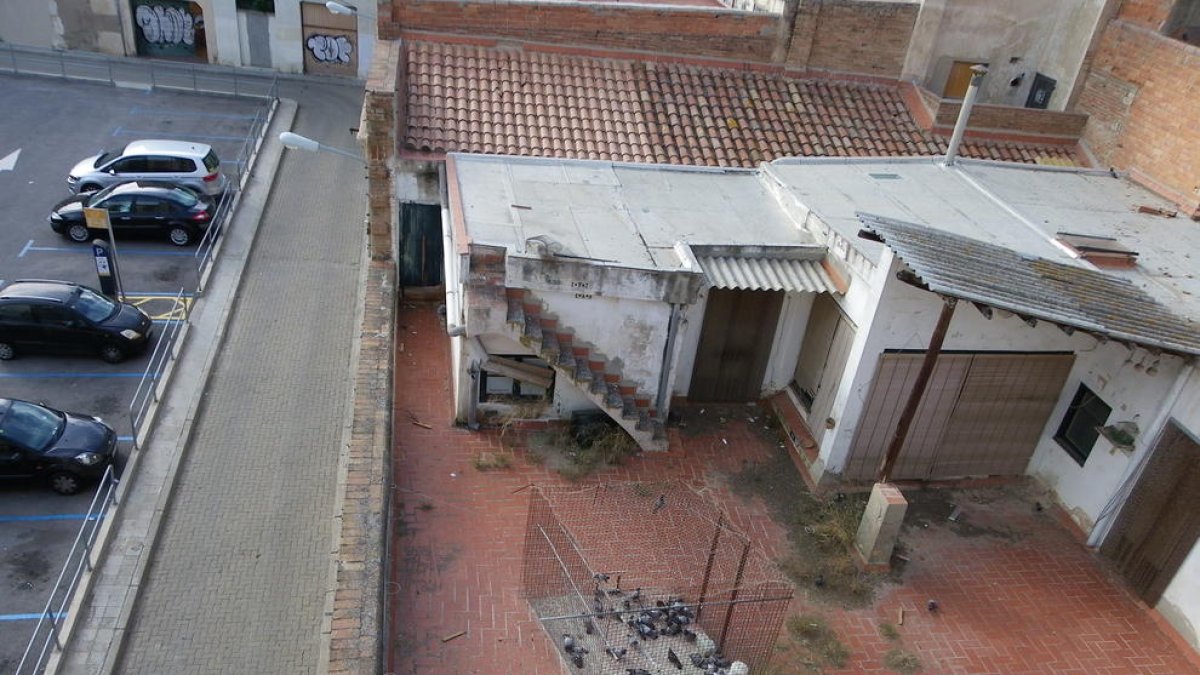 Hace un mes, los vecinos convivieron durante varios días con la imagen de decenas de palomas muertas por inanición dentro de la jaula trampa.