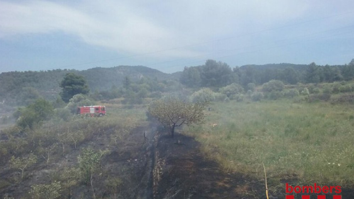 Un incendio quema 0,9 hectáreas en El Pinell de Brai