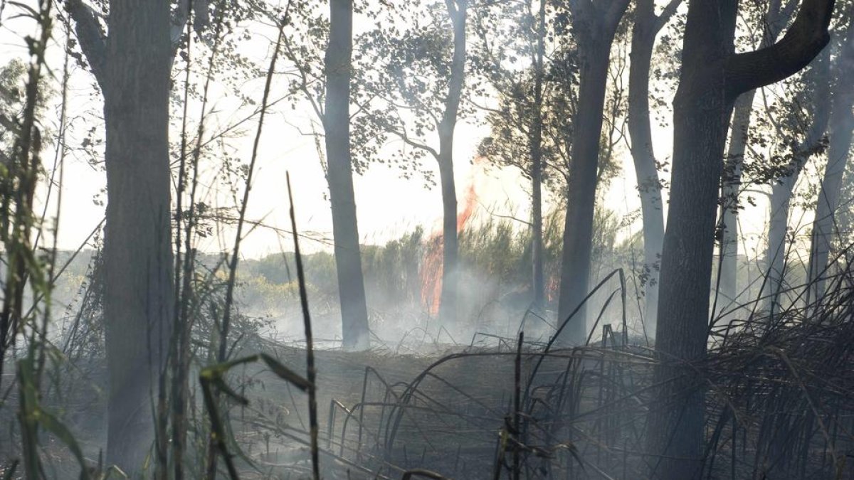 Controlat l'incendi de Sant Salvador