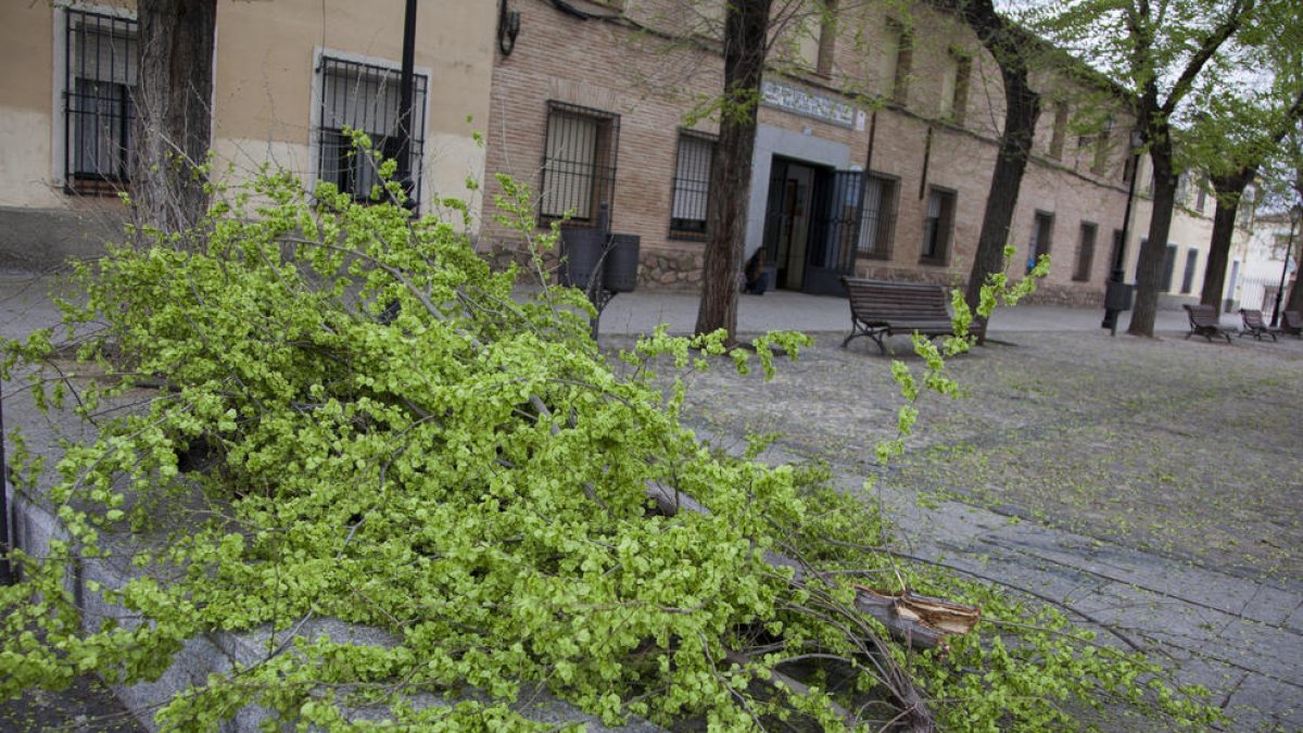 Diverses comarques de la província de Toledo es troben en alerta groga davant el risc de fortes ratxes de vent.