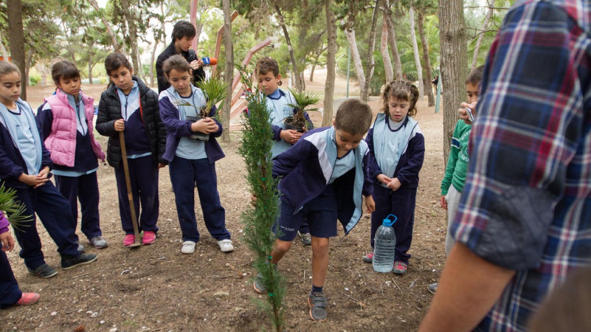 Imatge d'arxiu d'una plantada d'arbres escolar.